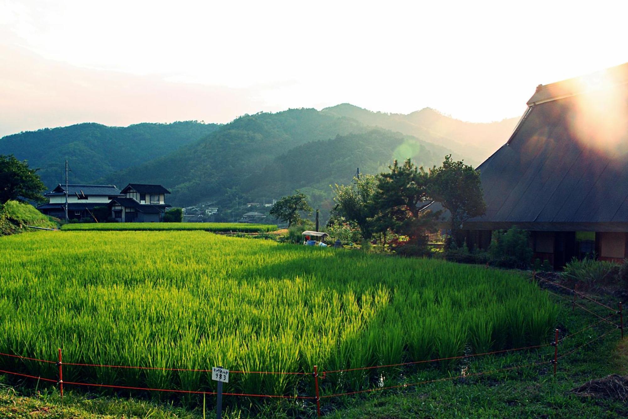 古民家の宿 ふるま家 Furumaya House Gastronomic Farmstay In Deep Kyoto Fukuchiyama Extérieur photo